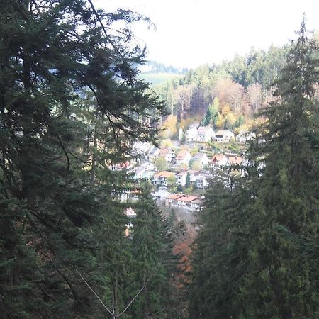 Relaxapartments Black Forest Diamond Direkt An Der Hornberger Freilichtbuehne - Sonnenterrasse Mit Blick Auf Das Hornberger Schloss, Schnelles Internet, Fuer Bis Zu 2 Personen Ngoại thất bức ảnh