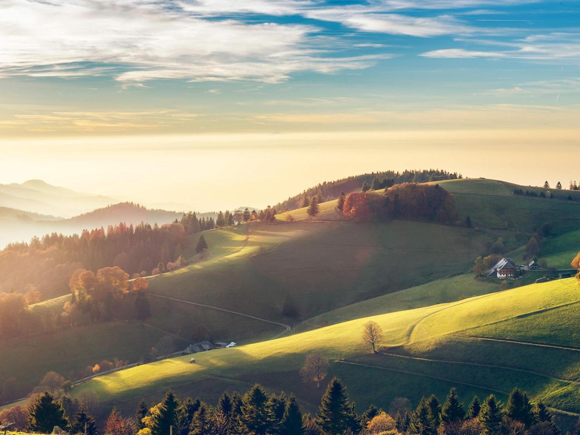 Relaxapartments Black Forest Diamond Direkt An Der Hornberger Freilichtbuehne - Sonnenterrasse Mit Blick Auf Das Hornberger Schloss, Schnelles Internet, Fuer Bis Zu 2 Personen Ngoại thất bức ảnh