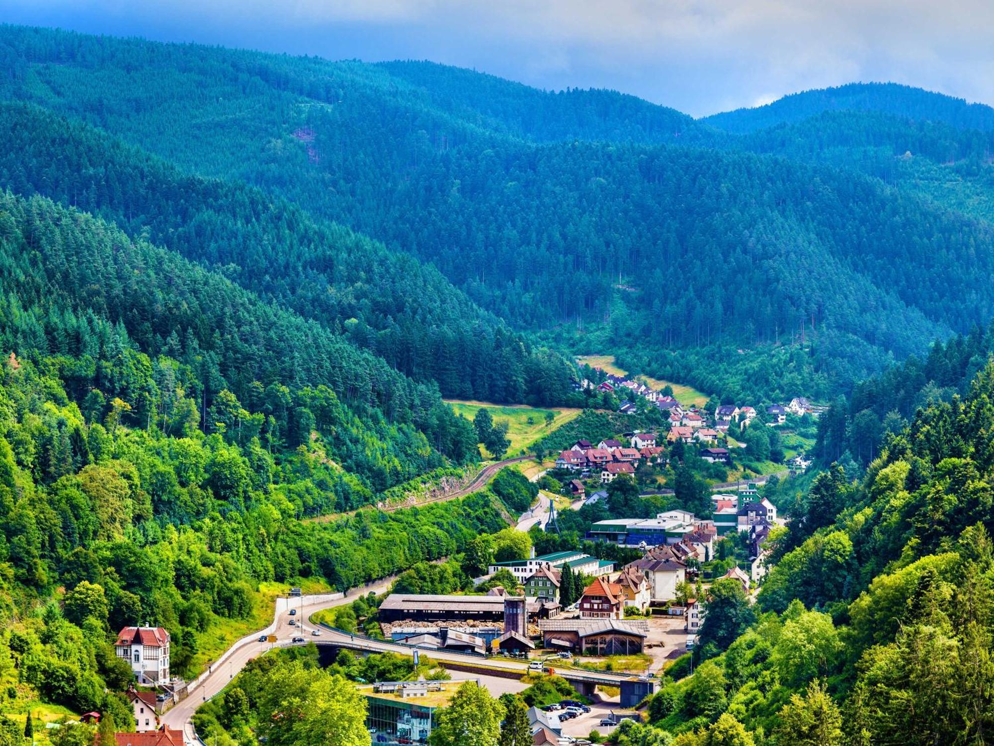 Relaxapartments Black Forest Diamond Direkt An Der Hornberger Freilichtbuehne - Sonnenterrasse Mit Blick Auf Das Hornberger Schloss, Schnelles Internet, Fuer Bis Zu 2 Personen Ngoại thất bức ảnh